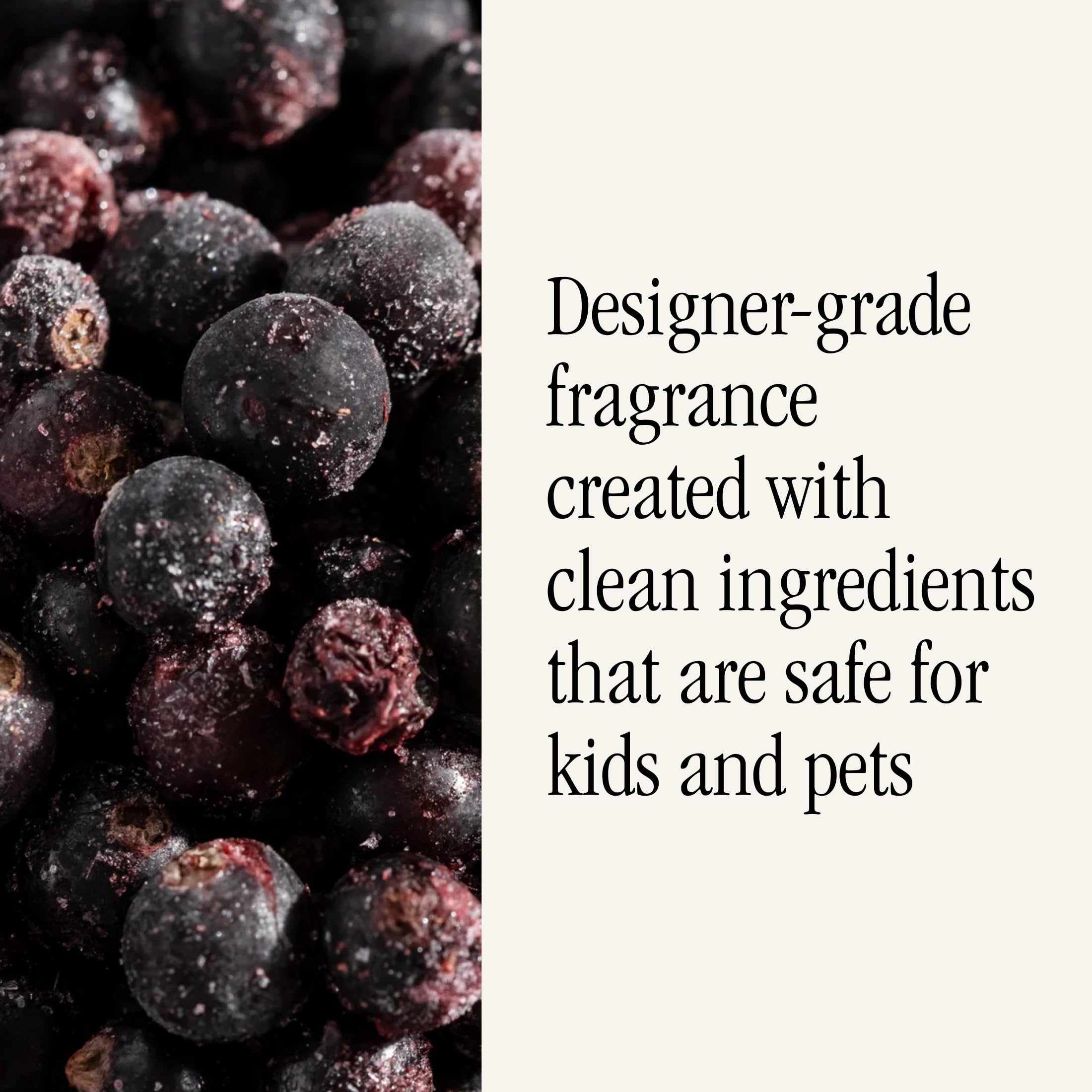 Pura and Antica Farmacista - Fragrance for Smart Home Air Diffusers - Prosecco - Image 4