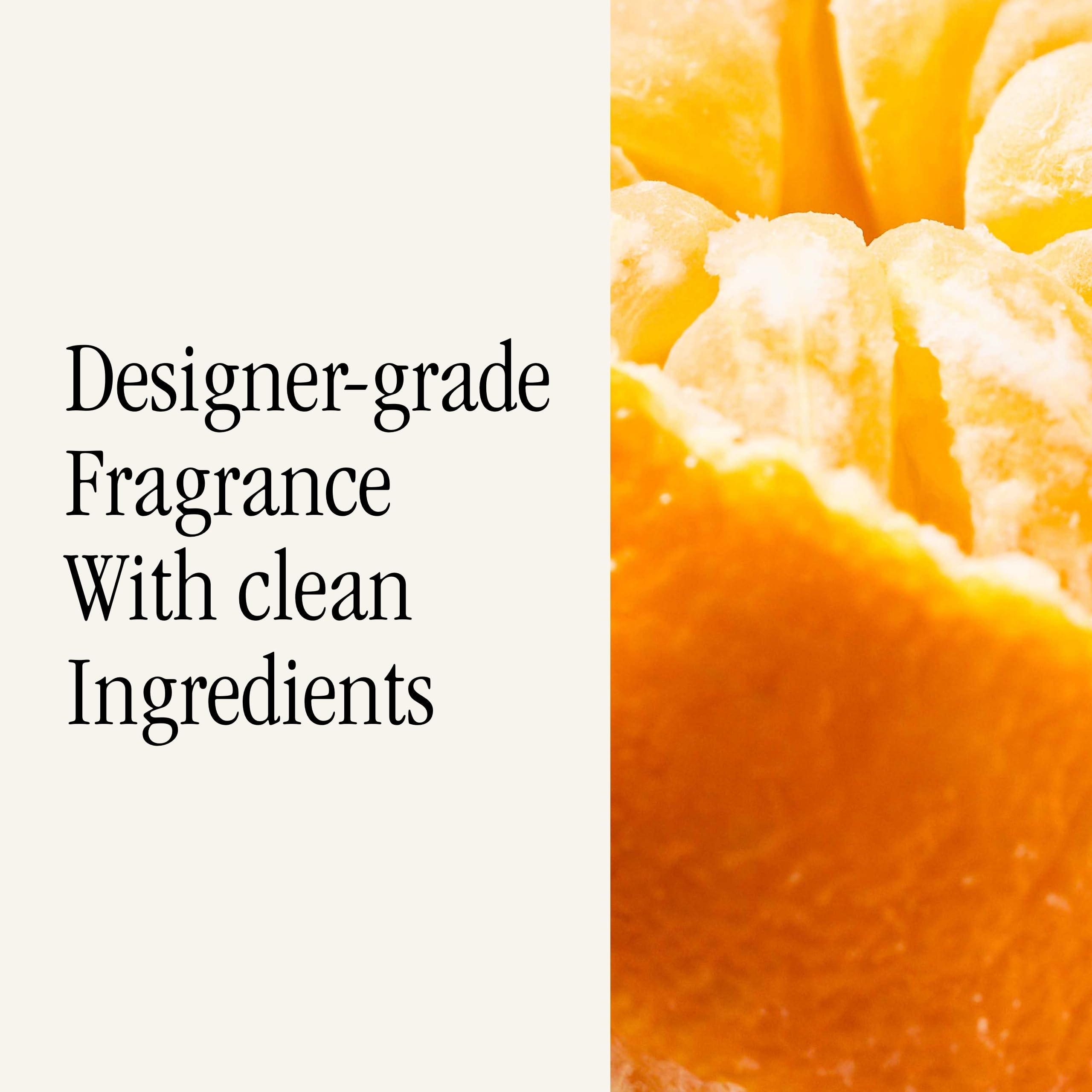 Pura and Becki Owens Car Scent Refill for Pura Car Diffusers - Premium Fragrance for Smart Diffuser - Up to 30 Days of Scent - Citrus & Cream - Image 4