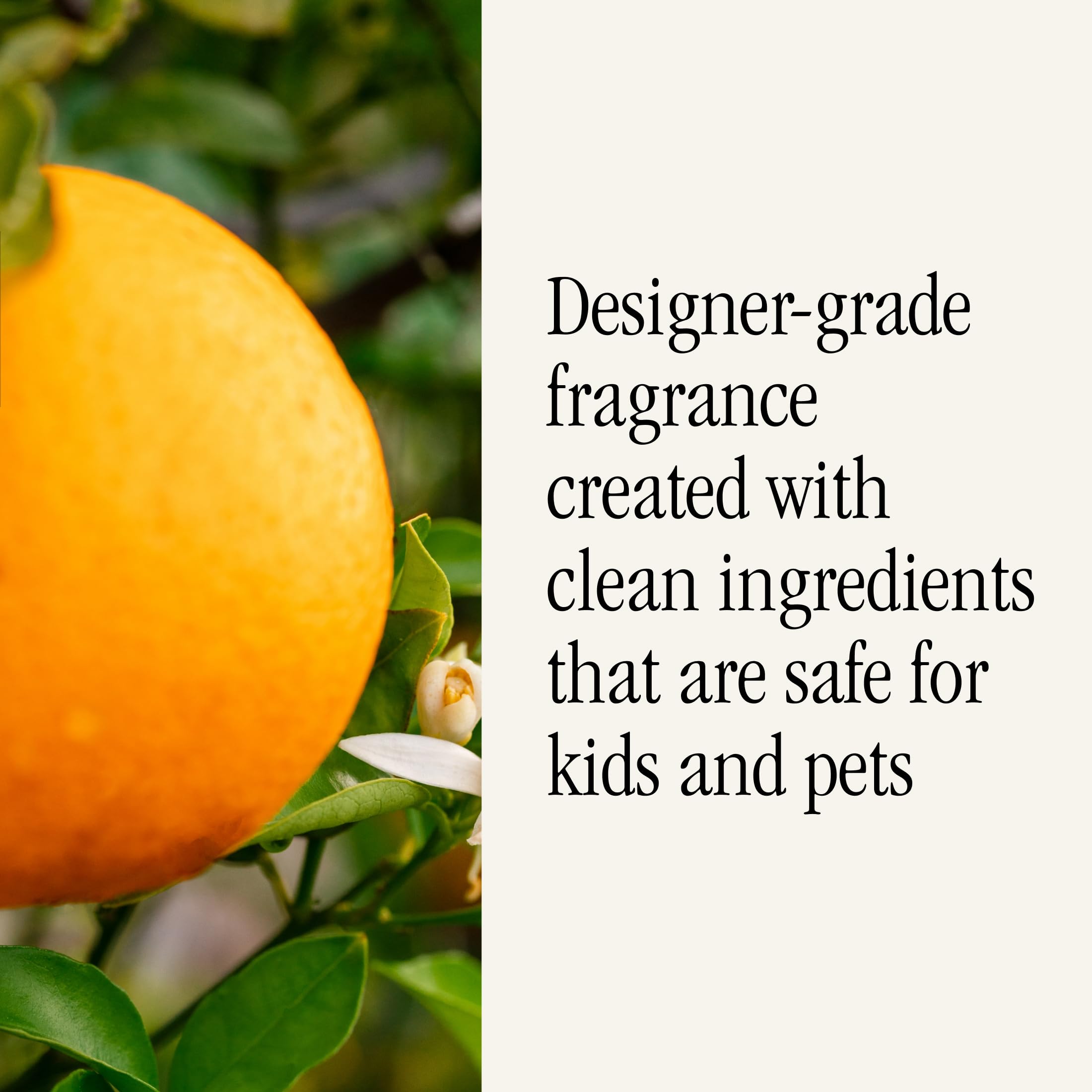 Pura & Antica Farmacista Home Scent Refill - Smart Home Air Diffuser - Up to 120-Hours of Luxury Fragrance per Refill - Household Essential - Safe Diffuser Fragrance - Orange Blossom - Image 4