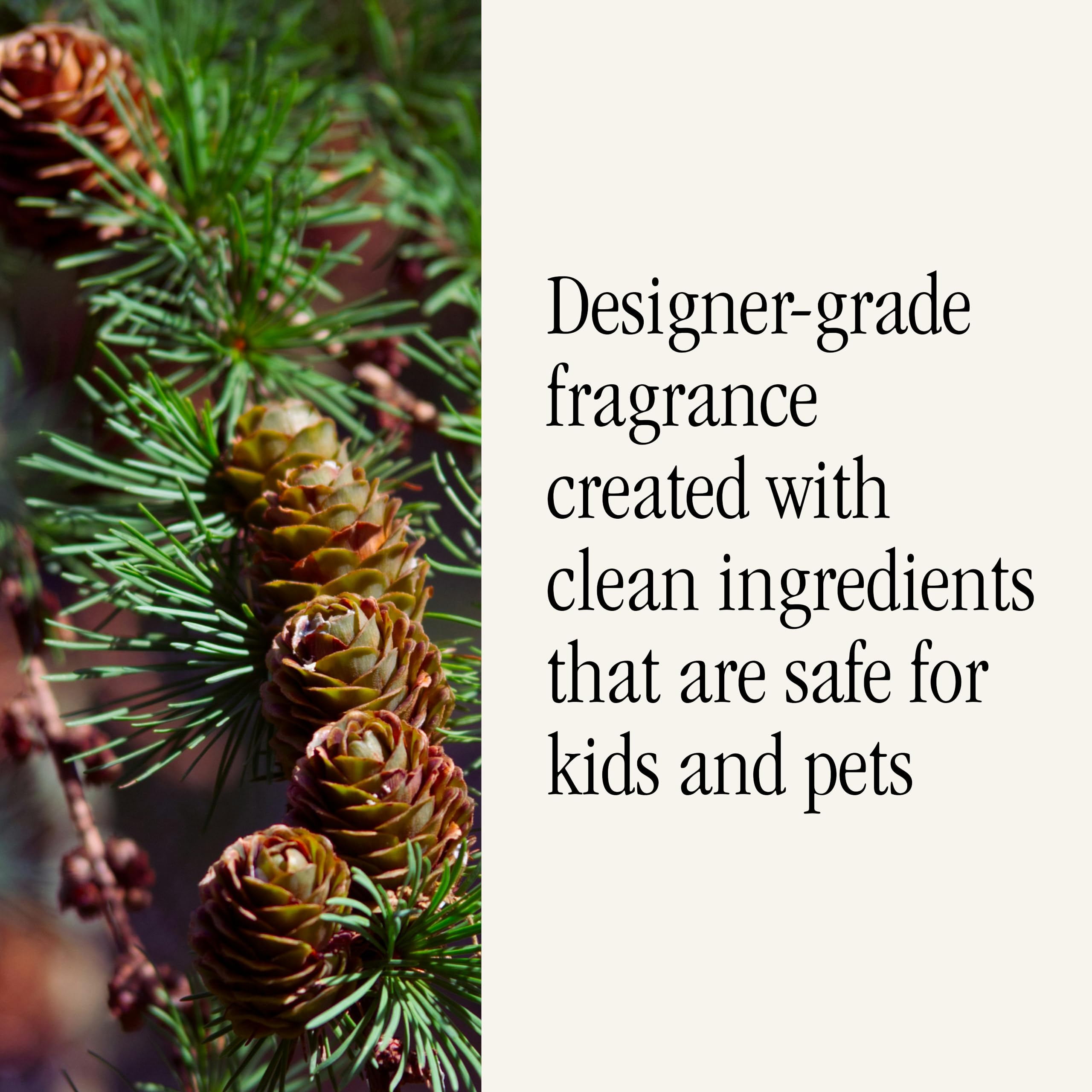 Pura & Simplicity Home Scent Refill - Smart Air Diffuser - Long-Lasting Luxury Fragrance per Refill - Home Essential - Clean & Safe Diffuser Fragrance - Single Refill, Pine - Image 4