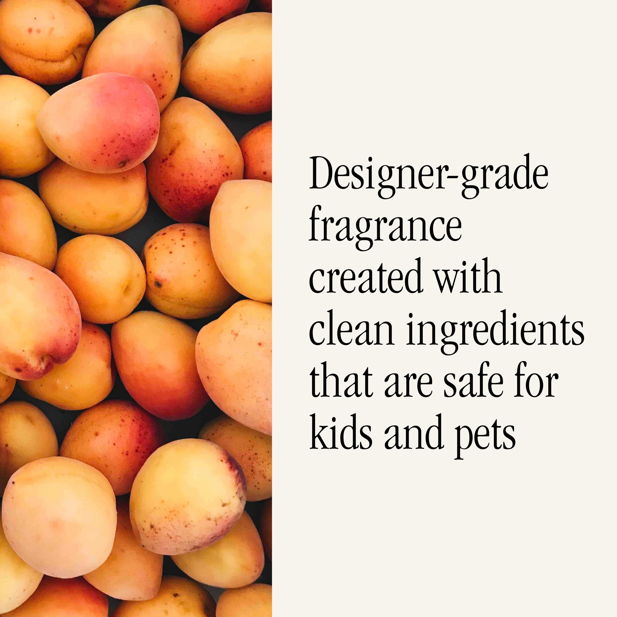 Pura Smart Home Scent Refill - Long-Lasting Premium Fragrance per Refill - Clean Diffuser Fragrance for Home, Office & Apartment - 2 Pack, Simmer Pot - Image 4